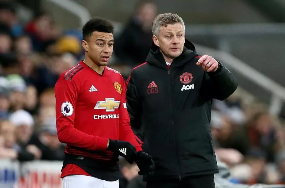 的成熟加上 的成熟加上